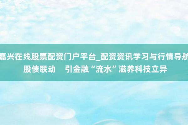 嘉兴在线股票配资门户平台_配资资讯学习与行情导航 股债联动    引金融“流水”滋养科技立异