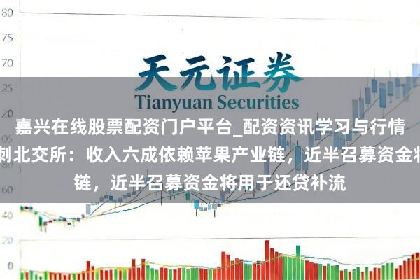 嘉兴在线股票配资门户平台_配资资讯学习与行情导航 鸿仕达冲刺北交所：收入六成依赖苹果产业链，近半召募资金将用于还贷补流