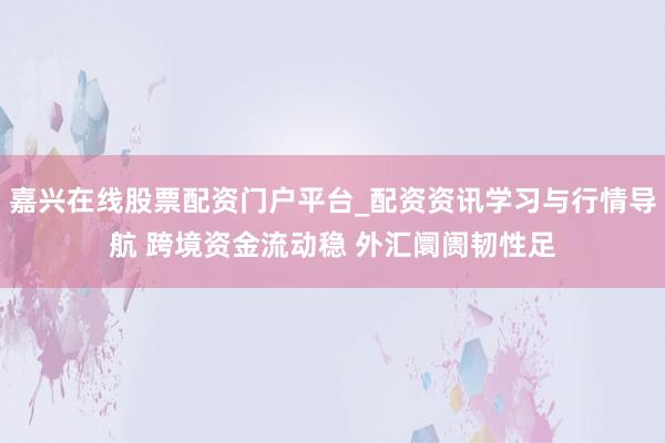 嘉兴在线股票配资门户平台_配资资讯学习与行情导航 跨境资金流动稳 外汇阛阓韧性足