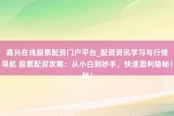 嘉兴在线股票配资门户平台_配资资讯学习与行情导航 股票配资攻略：从小白到妙手，快速盈利隐秘！
