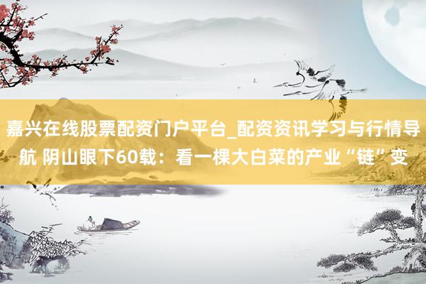 嘉兴在线股票配资门户平台_配资资讯学习与行情导航 阴山眼下60载：看一棵大白菜的产业“链”变